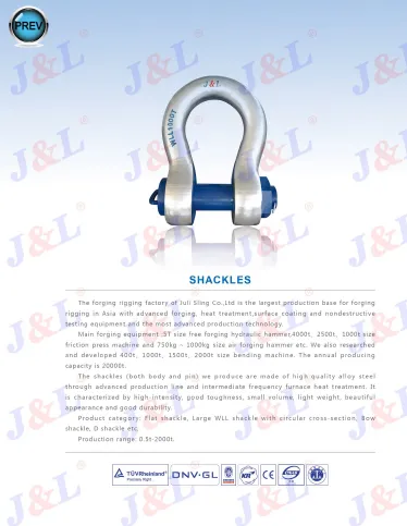 Shackle