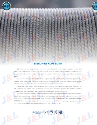 Wire Rope Sling